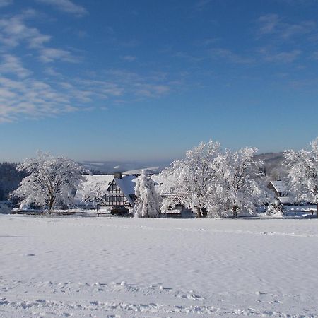 Berghotel Lenneplaetze Winterberg Exterior foto