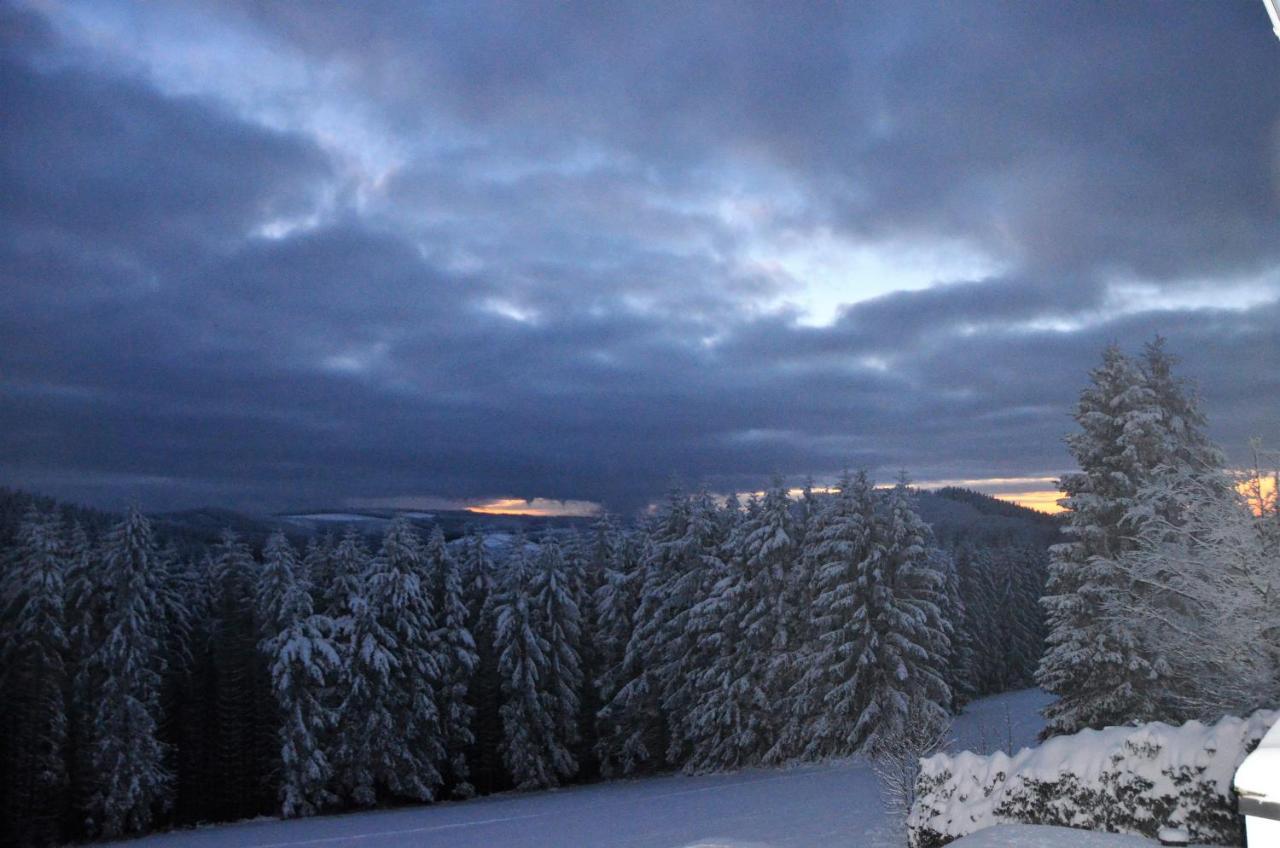 Berghotel Lenneplaetze Winterberg Exterior foto