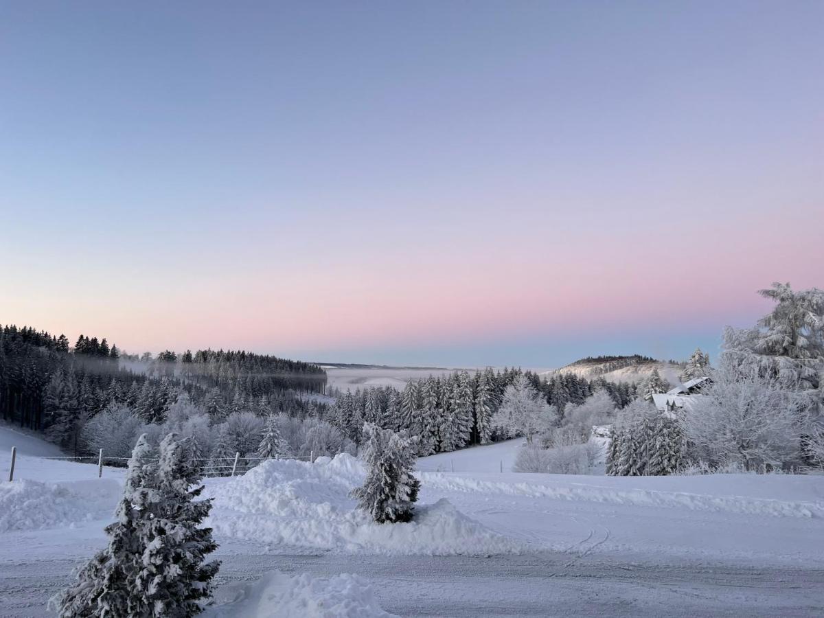 Berghotel Lenneplaetze Winterberg Exterior foto